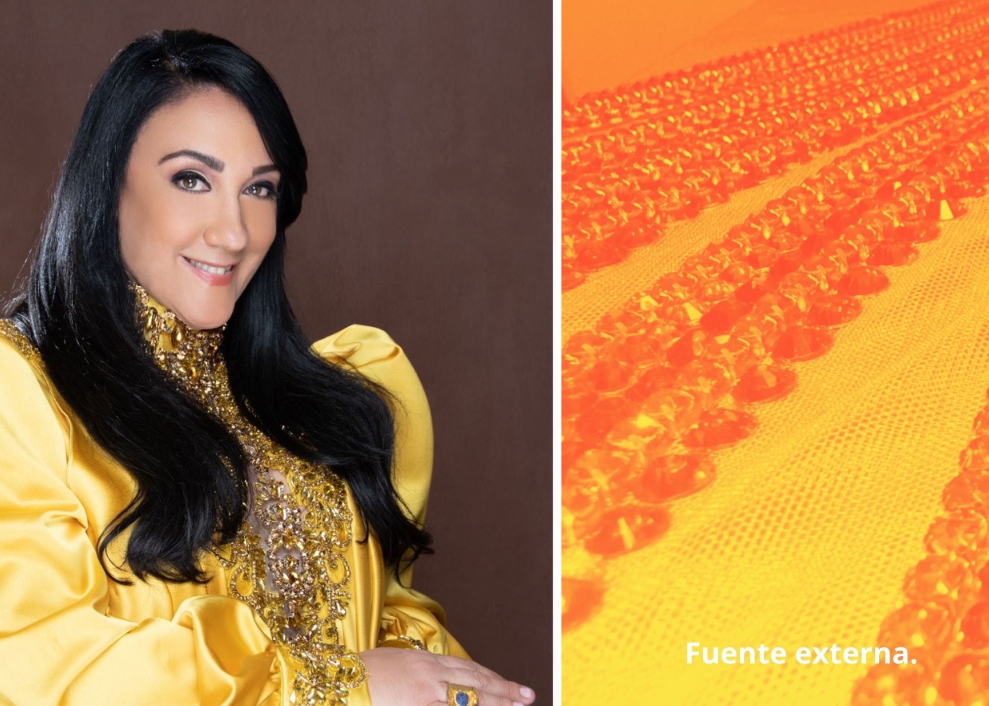 Giannina Azar revela los detalles del deslumbrante vestido que lucirá Miss RD en la gala de Miss Universo 2025 Giannina Azar revela los detalles del deslumbrante vestido que lucirá Miss RD en la gala de Miss Universo 2025