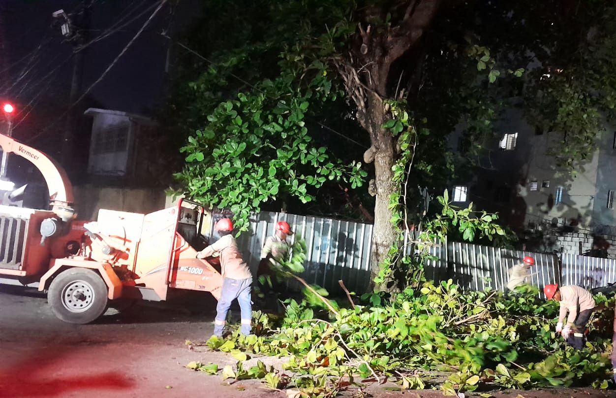 Edesur realiza un amplio operativo de poda y retiro de restos de árboles en colaboración con el Ayuntamiento del Distrito Naciona