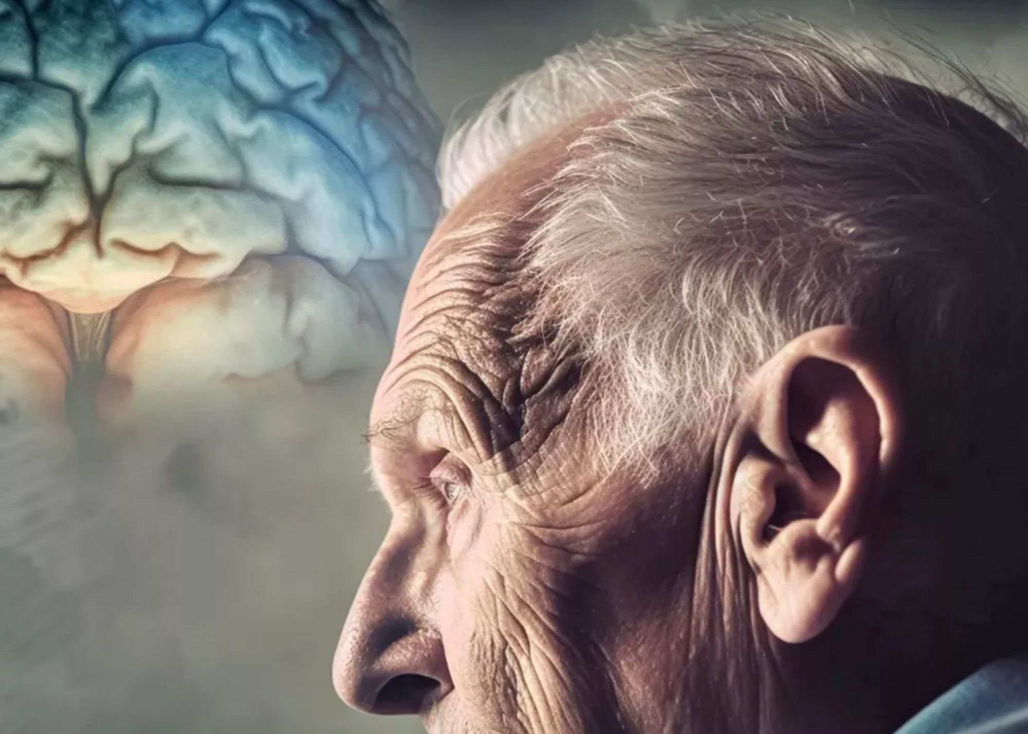 ¿Cuándo comienza realmente el Alzheimer? Estudio revela cambios tempranos en el cerebro